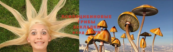 МДПВ Балахна
