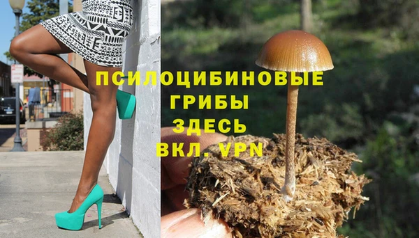 МДПВ Балахна