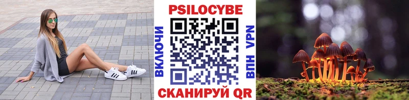 Галлюциногенные грибы GOLDEN TEACHER  что такое   Долгопрудный 