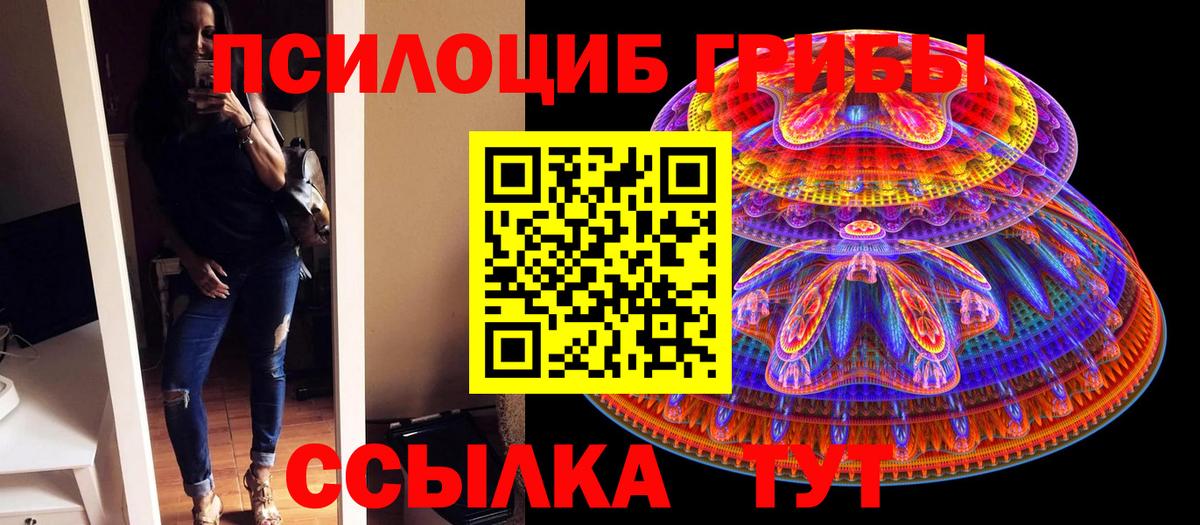 Псилоцибиновые грибы MAGIC MUSHROOMS Долгопрудный